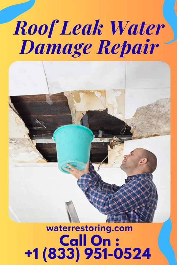 Roof Leak Water Damage Repair in Poquoson, VA