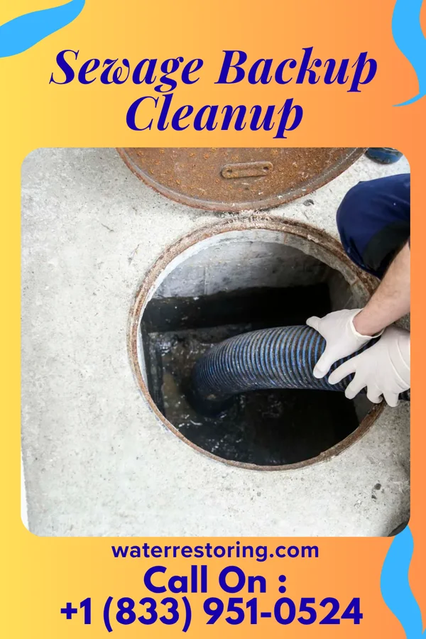 Sewage Backup Cleanup in Poquoson, VA