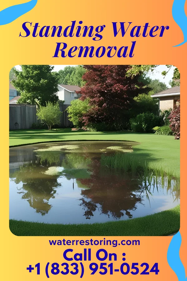 Standing Water Removal in Poquoson, VA